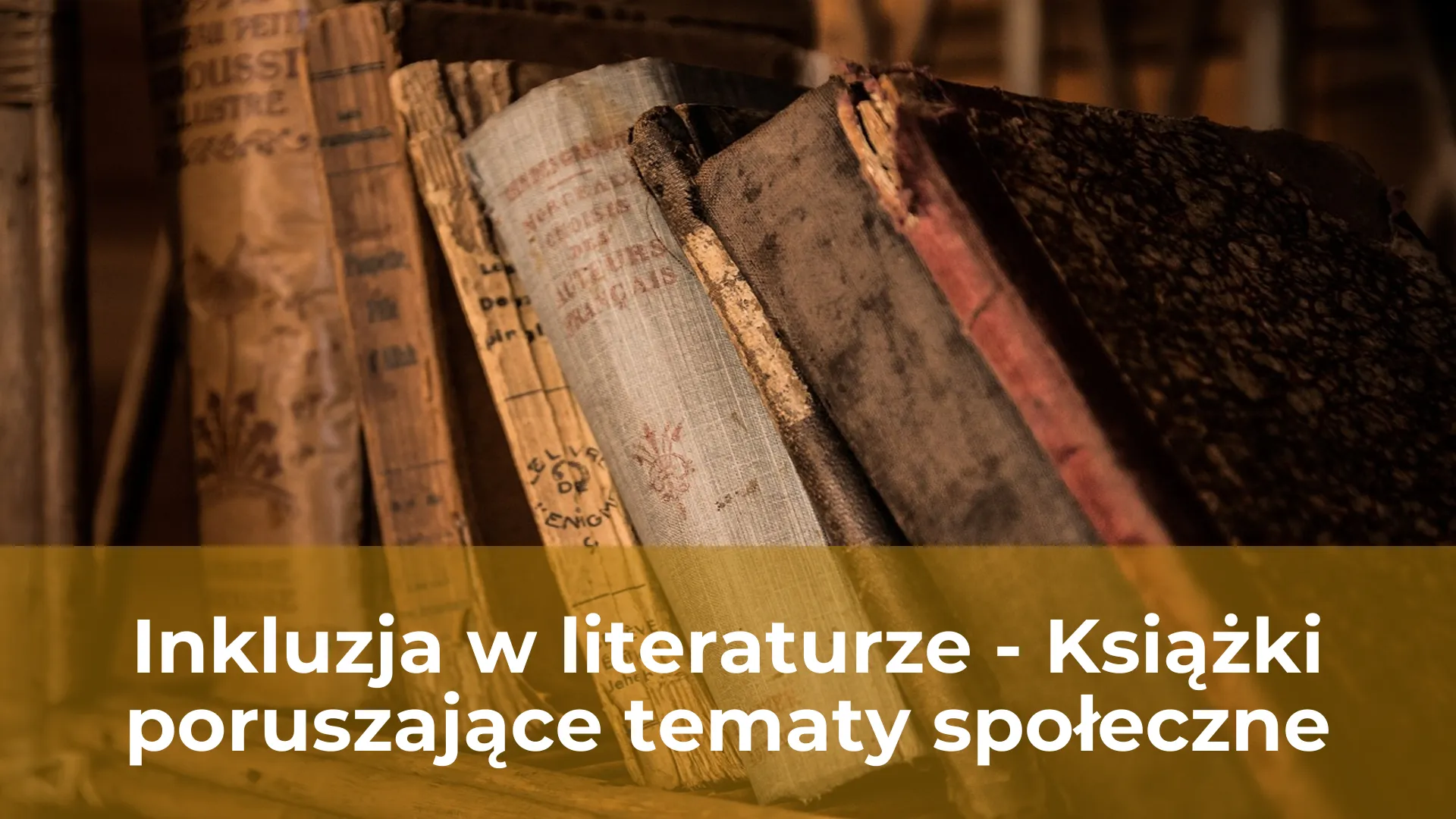 Inkluzja w literaturze książki poruszające tematy społeczne